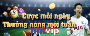 nhtvip